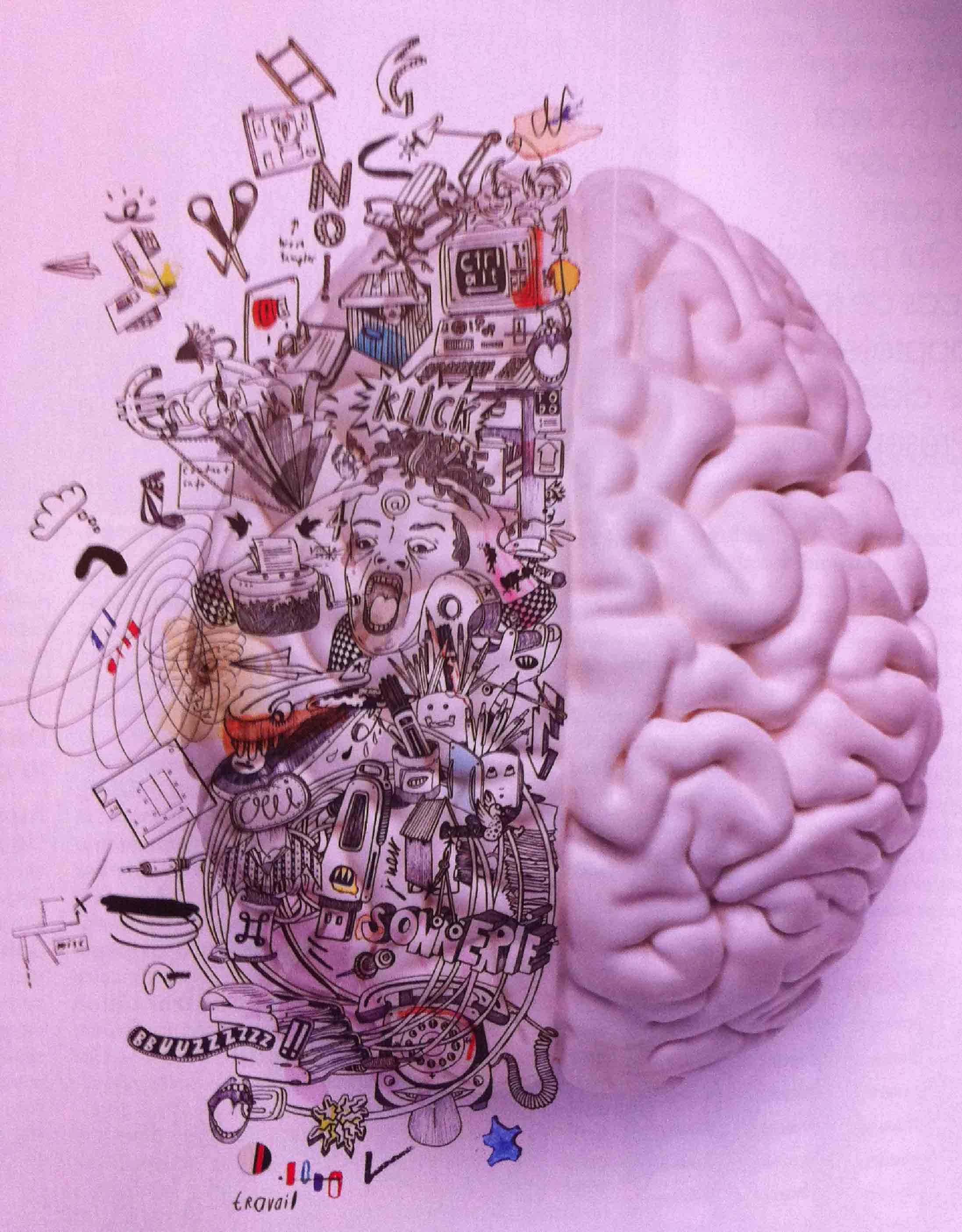Cerveau : hémisphère droit et hémisphère gauche